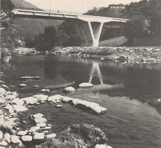 foto 01
